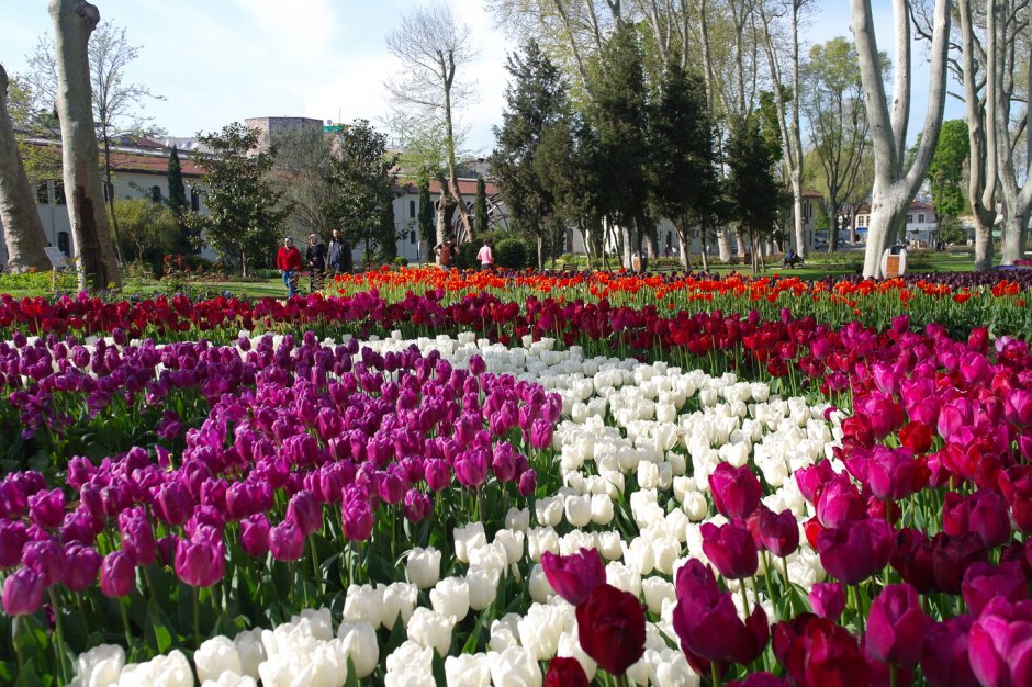 Парк цветов в Стамбуле