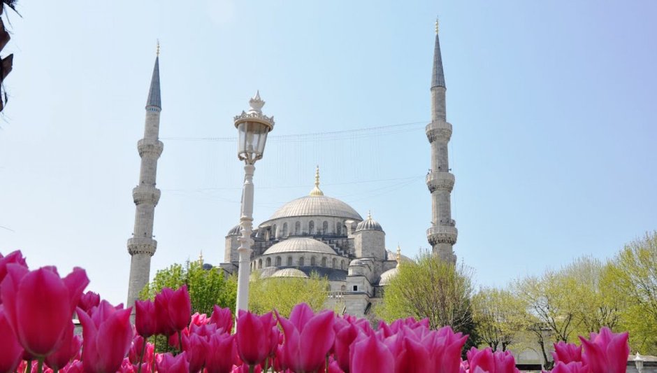 Парк тюльпанов в Стамбуле