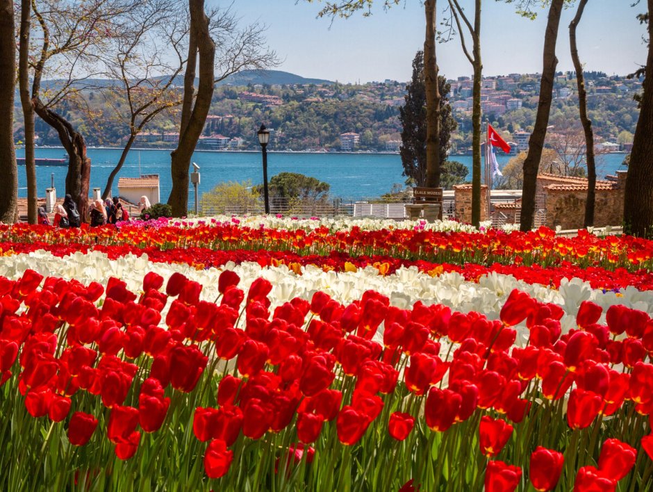 Парад тюльпанов в Стамбуле