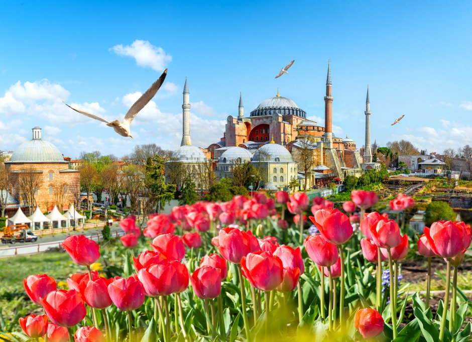 Парк тюльпанов в Стамбуле 2021