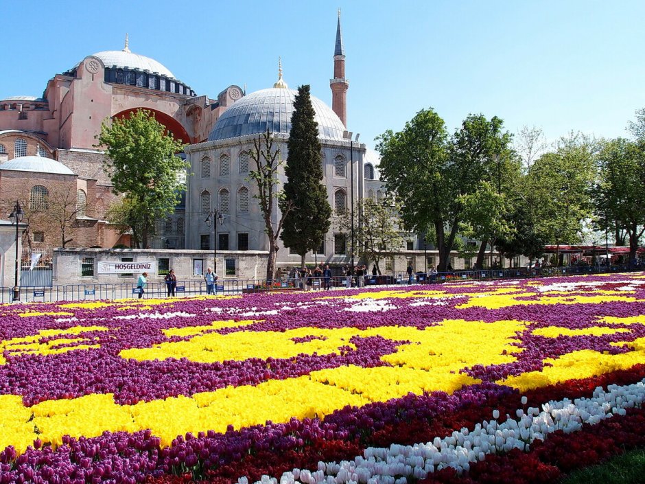 Стамбульский фестиваль тюльпанов в Турции