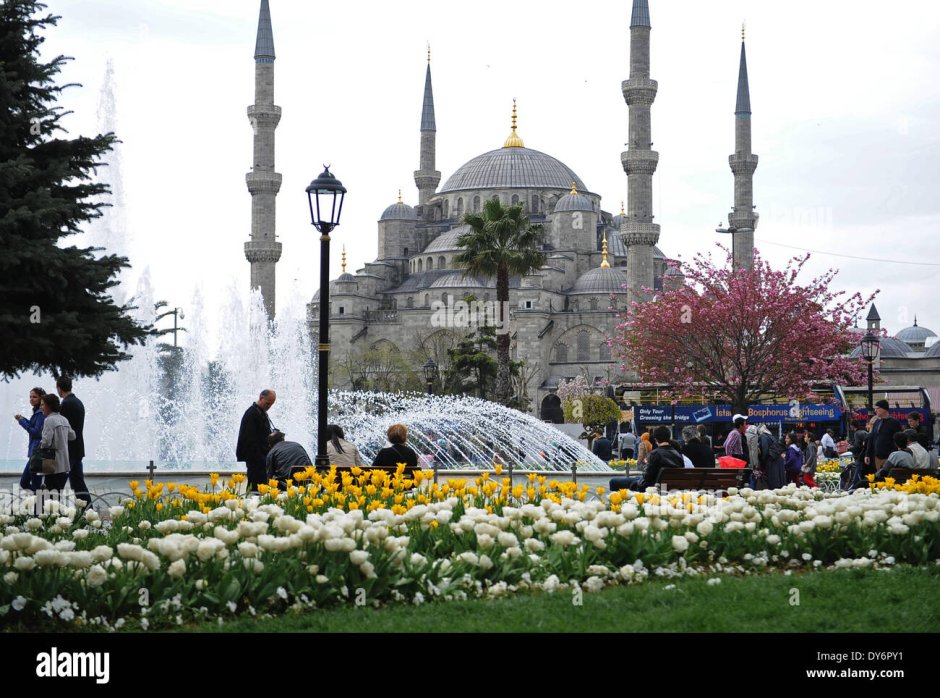 Султанские сады Турции