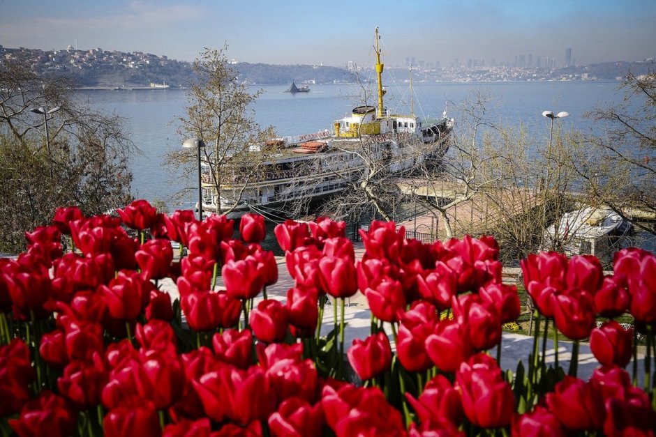 Парк Эмирган в Стамбуле в апреле