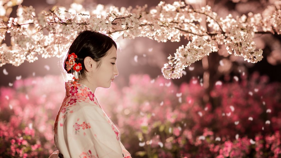 Любование цветущей сакурой