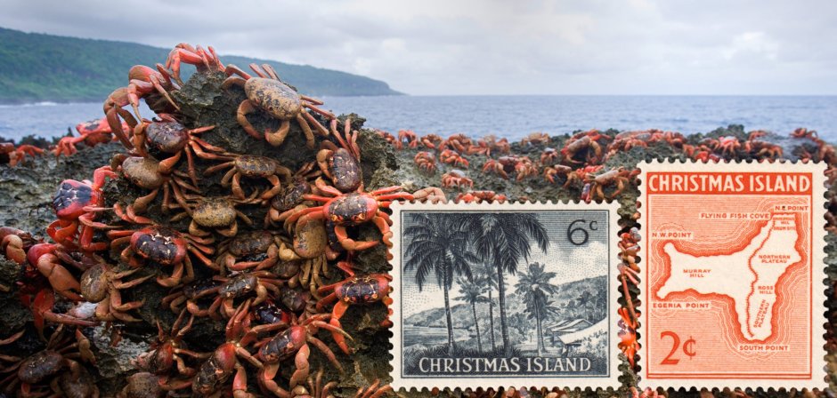 Миграция красных крабов остров Рождества