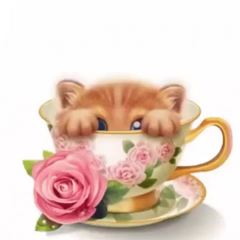 Котенок в чаше открытка
