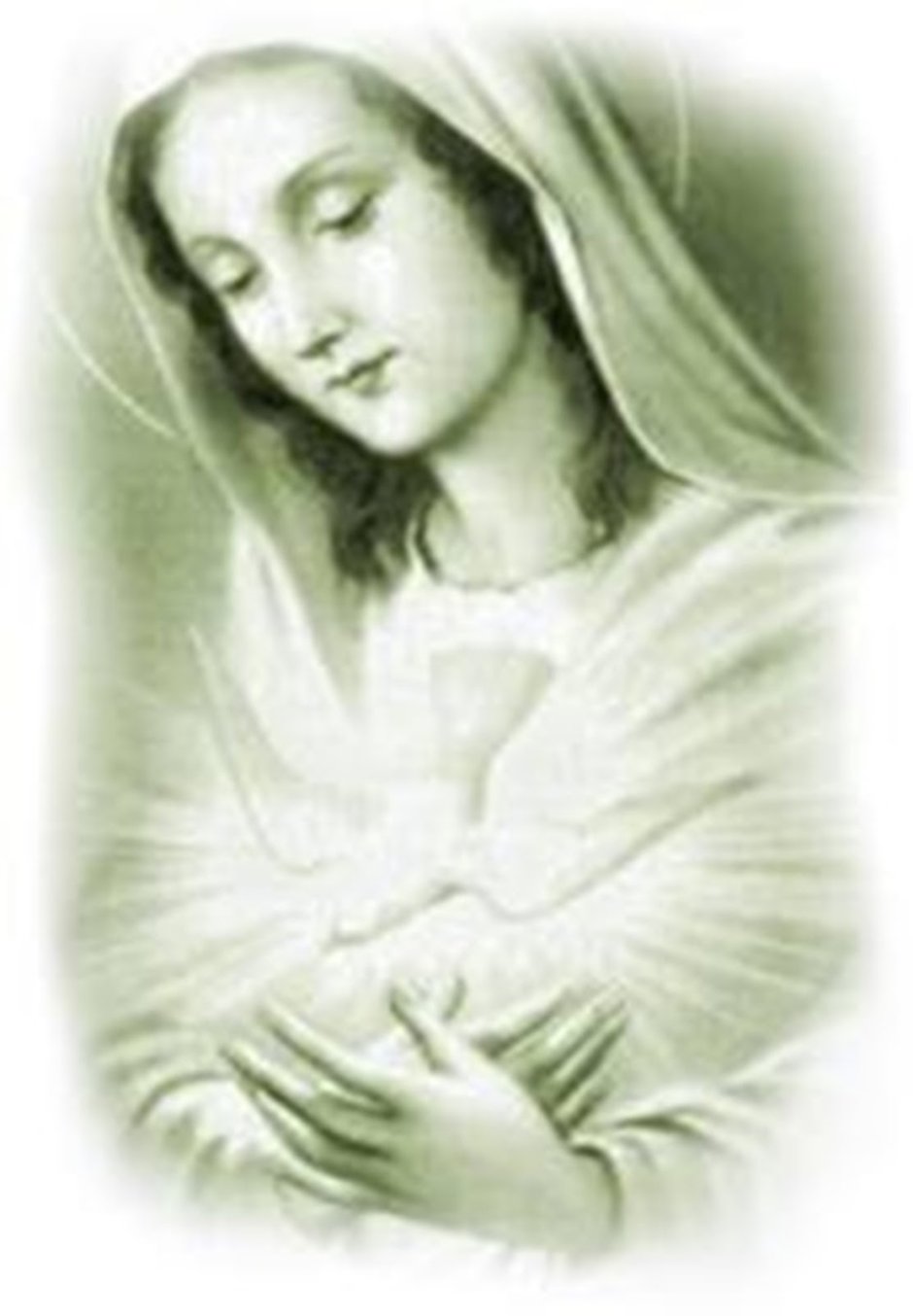 Святая Дева Мария Фатимская