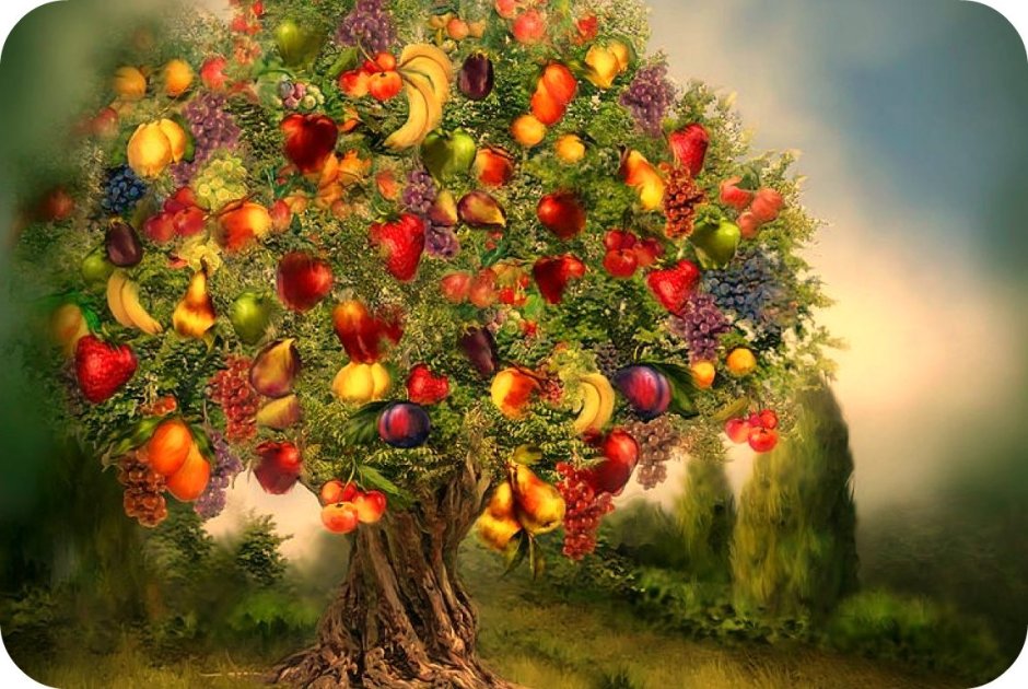 Деревья и плоды