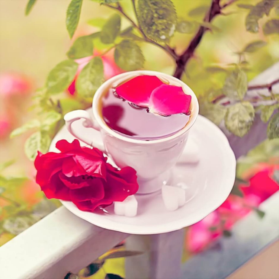 Чашка утреннего кофе и лепестки роз
