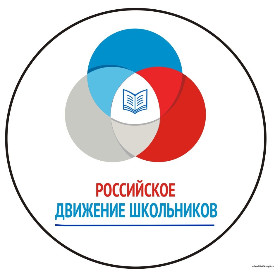 Российское движение школьников логотип на прозрачном фоне