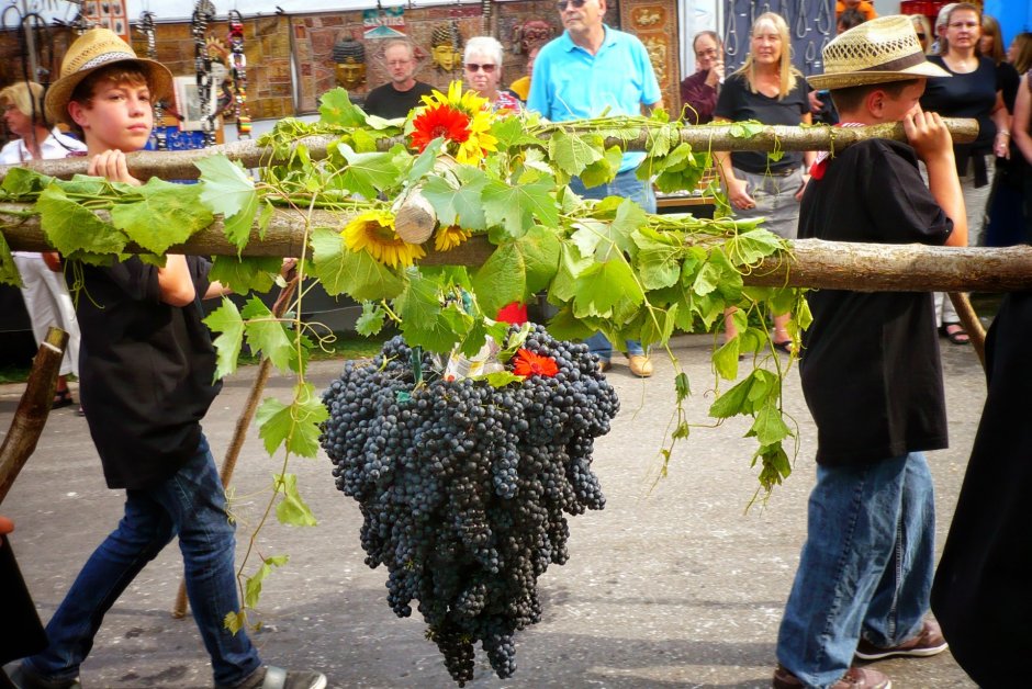 Виноградный выставка
