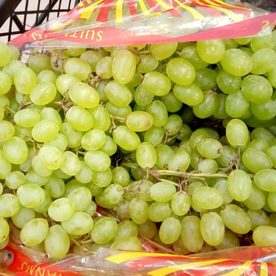 Праздник виноградарства и виноделия "Таманская лоза"