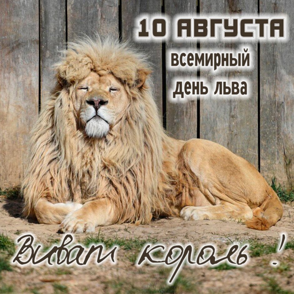 Международный день Льва