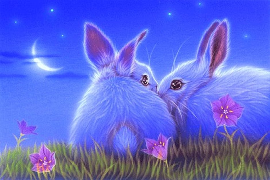 Кентаро Нишино картины кролик