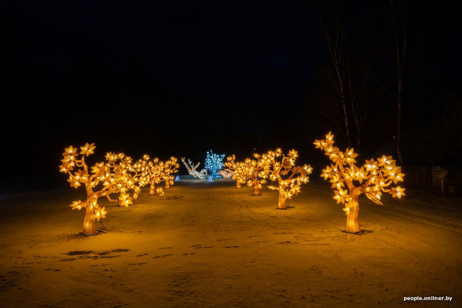 Парк фонарей в парке Маяковского