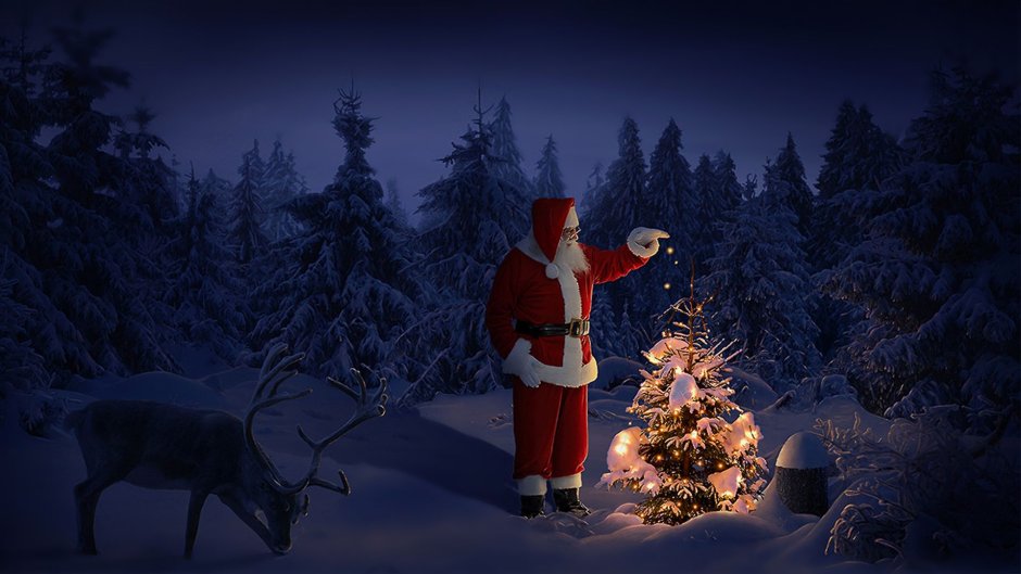 Санта Клаус в лесу