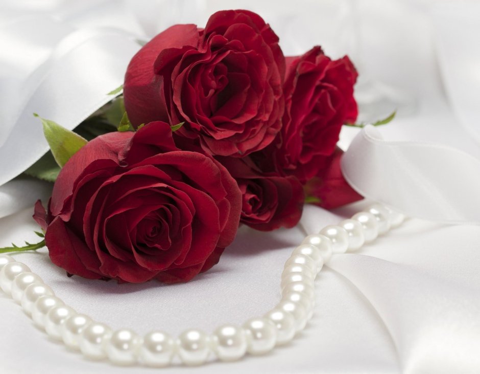 Красивые розы для любимой женщины