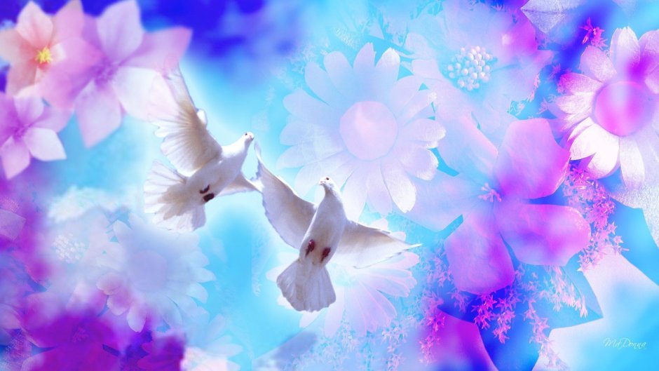 Мирное небо голуби