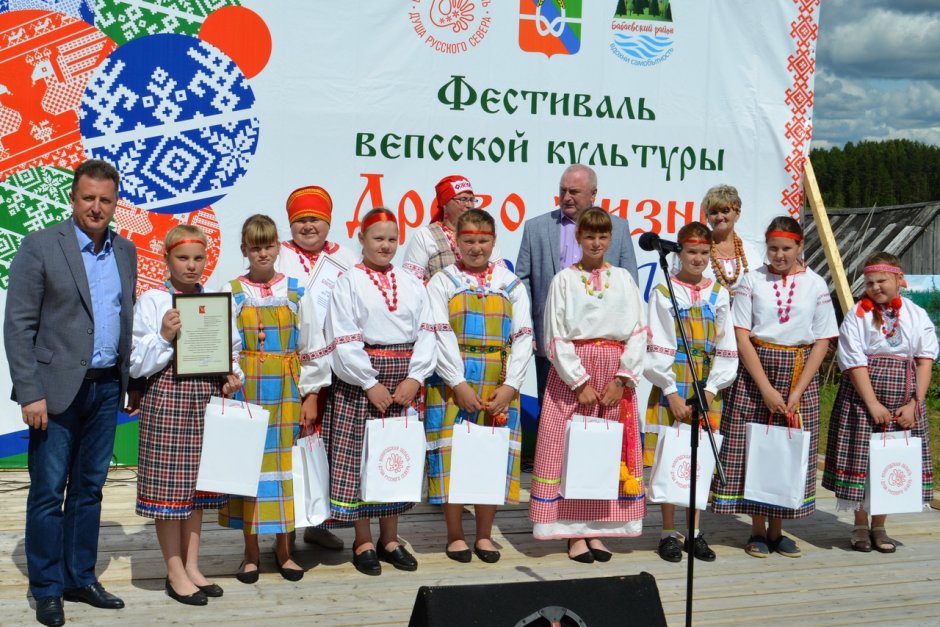 Фестиваль Древо жизни Бабаевский район