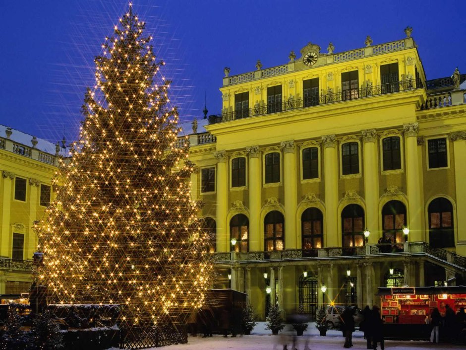 Главная елка в Австрии Вена Рождество