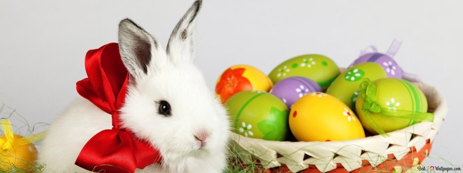 Белый кролик с пасхальными яйцами