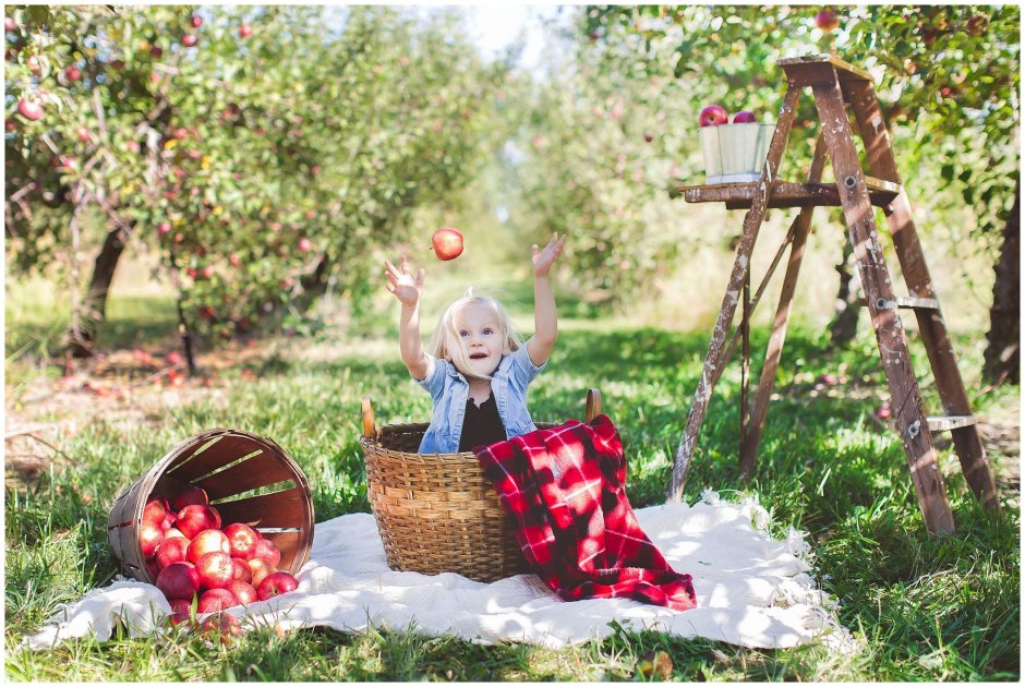 Пикник в яблоневом саду
