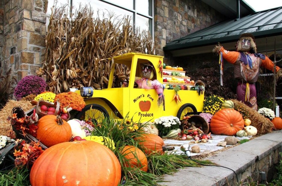 Harvest Festival праздник