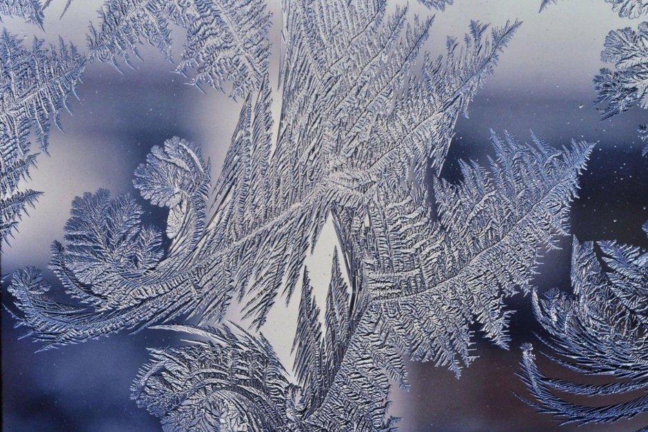 Узор на окне от Мороза елка