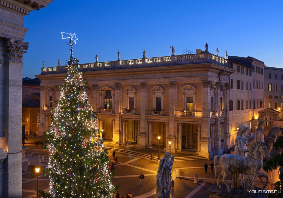 Главная елка Италии на площади Святого Петра Пьяцца