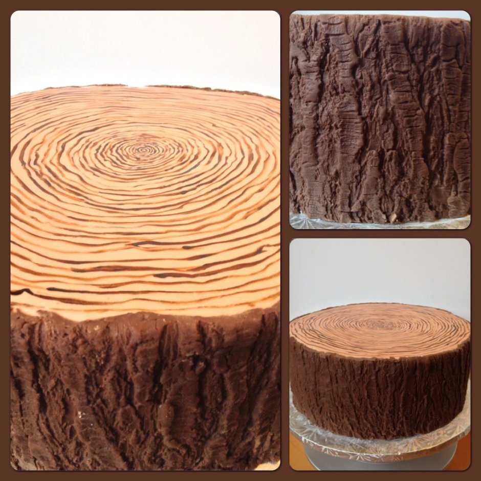 Декор торта с корой дерева