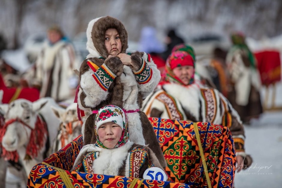 Ненцы день оленевода