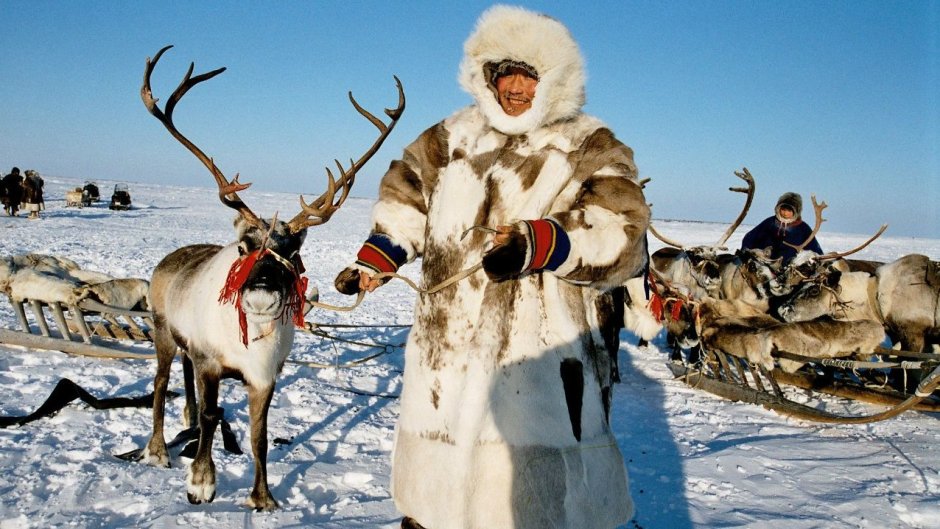 Эвенки, нанайцы, ненцы