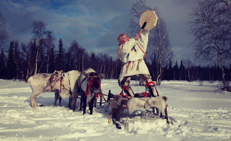 Праздник оленеводства ненцев