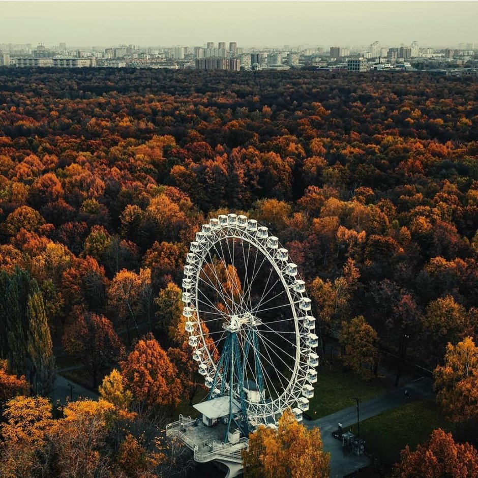 Царицыно прокат лодок