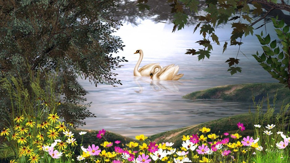 Красивые пейзажи с лебедями