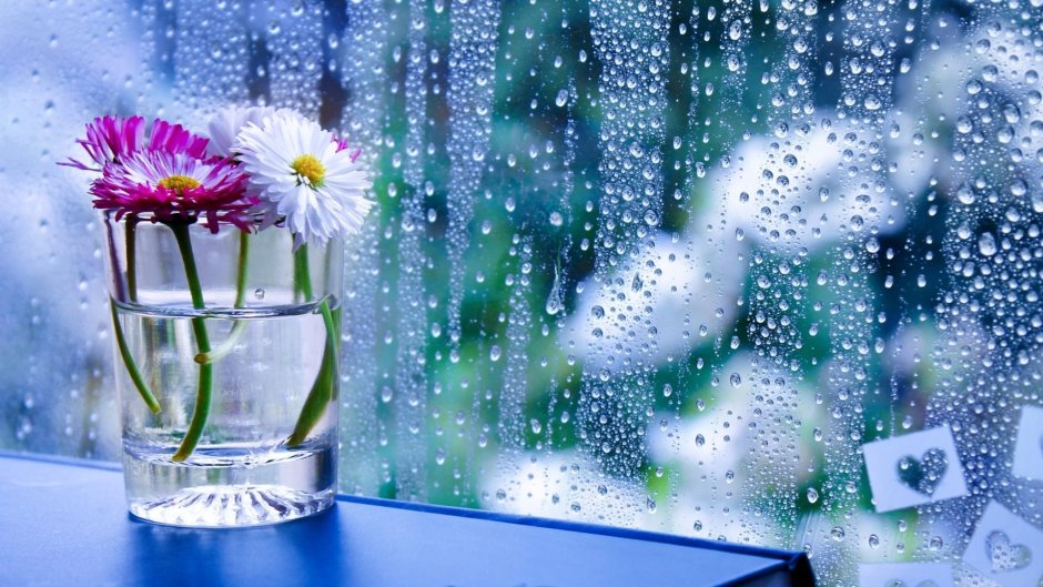 Цветы на фоне дождя