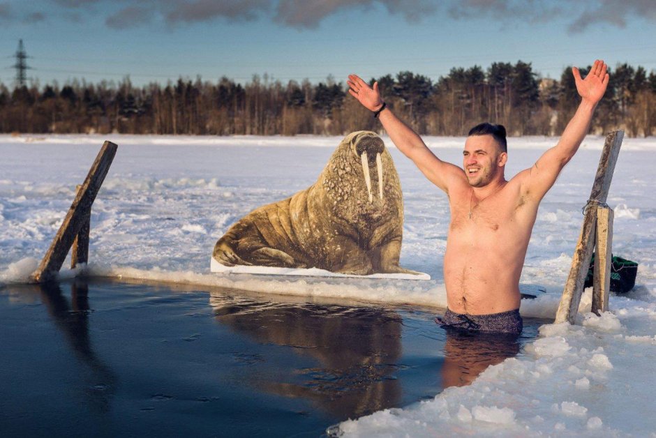 Моржи люди купаются в проруби