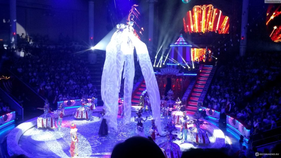 Новогодний цирк