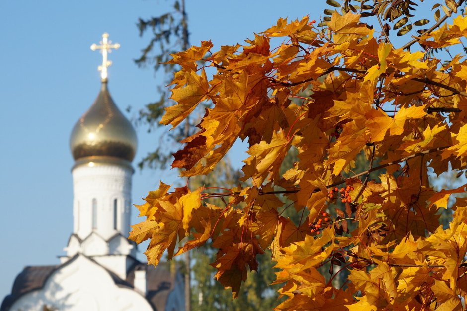 Храм Покрова Пресвятой Богородицы осенью