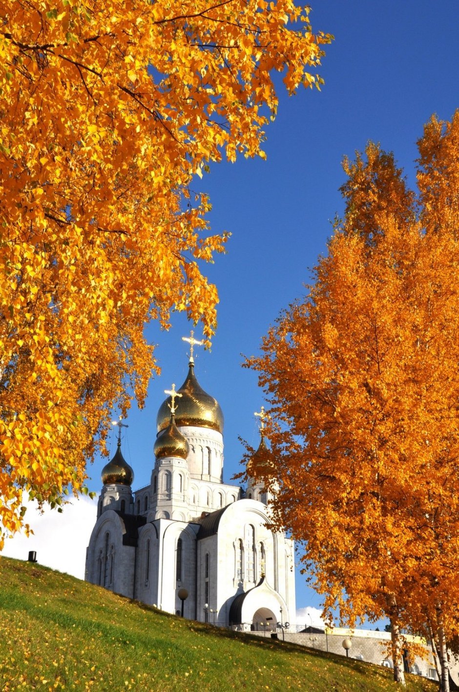 Храм Покрова Пресвятой Богородицы осень