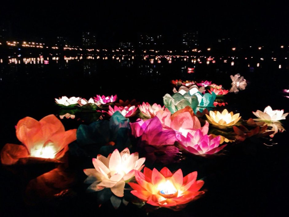 Water Lantern Festival