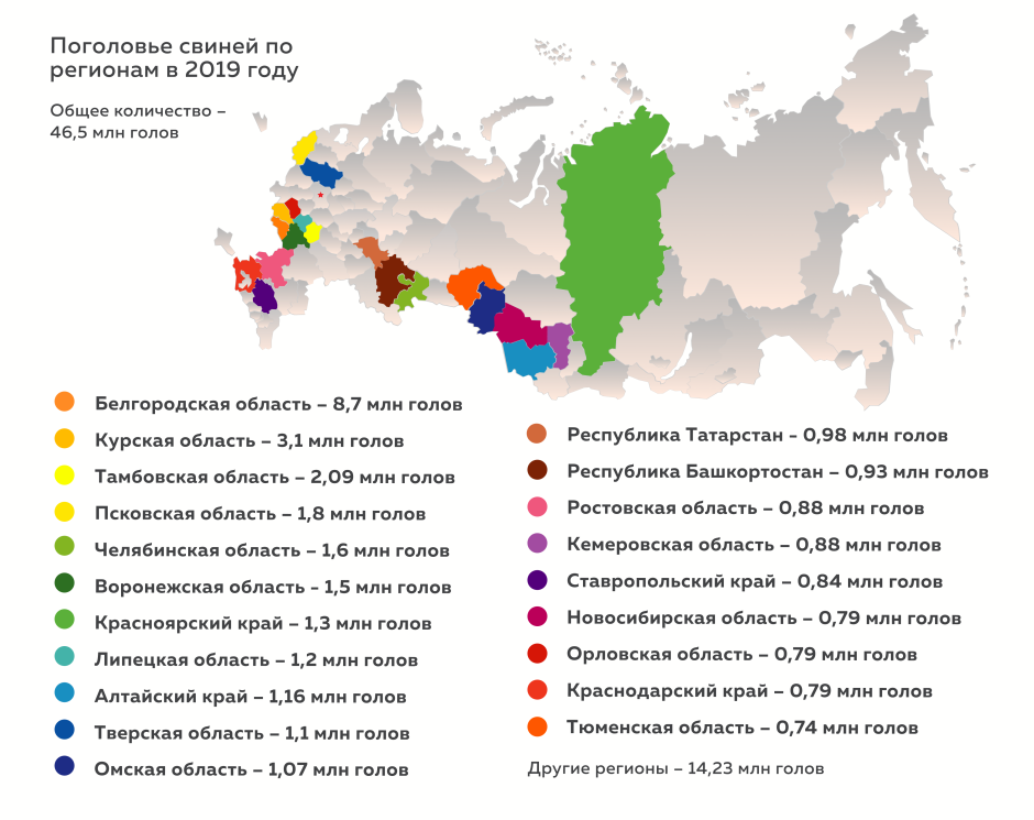 Поголовье свиней в России в 2019 году Росстат