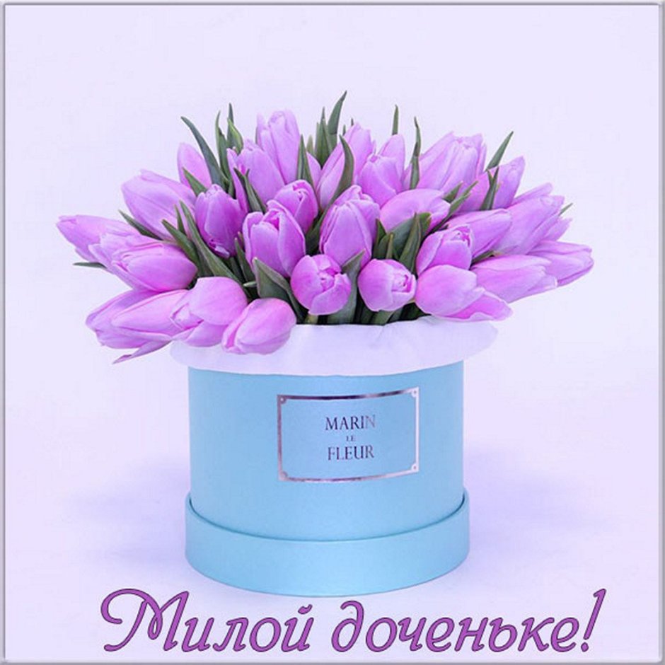 С днём рождения тюльпаны в коробке