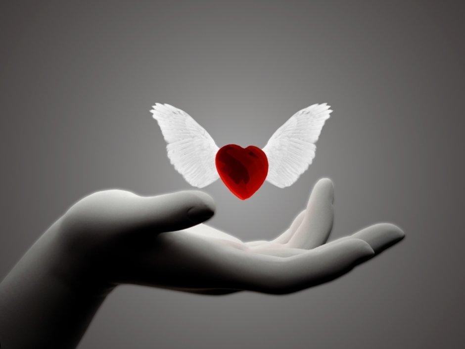 Сердце в руках ангела