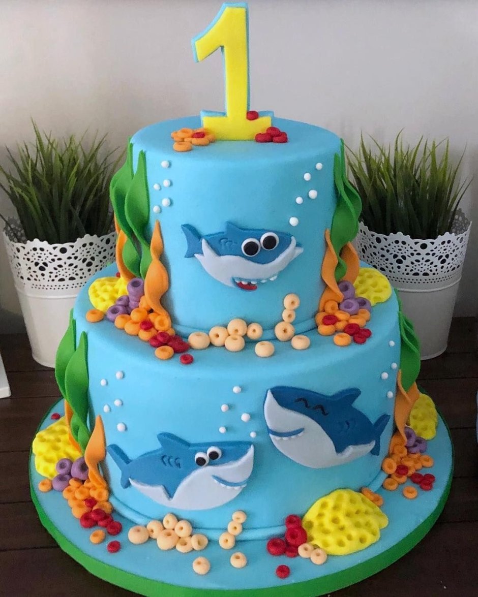 Акула торт Шарк