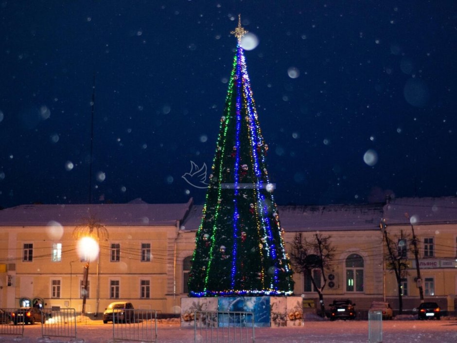 Новогодний Дворцовый мост в Санкт-Петербурге