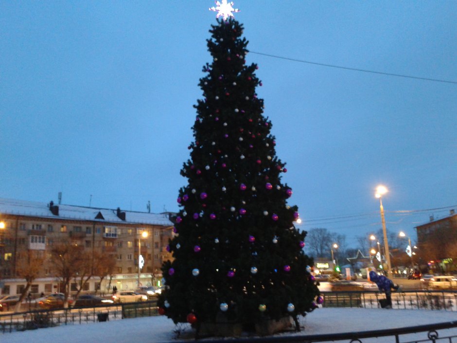 Городская елка Новороссийск