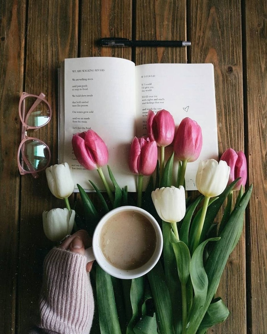 Тюльпаны и книги