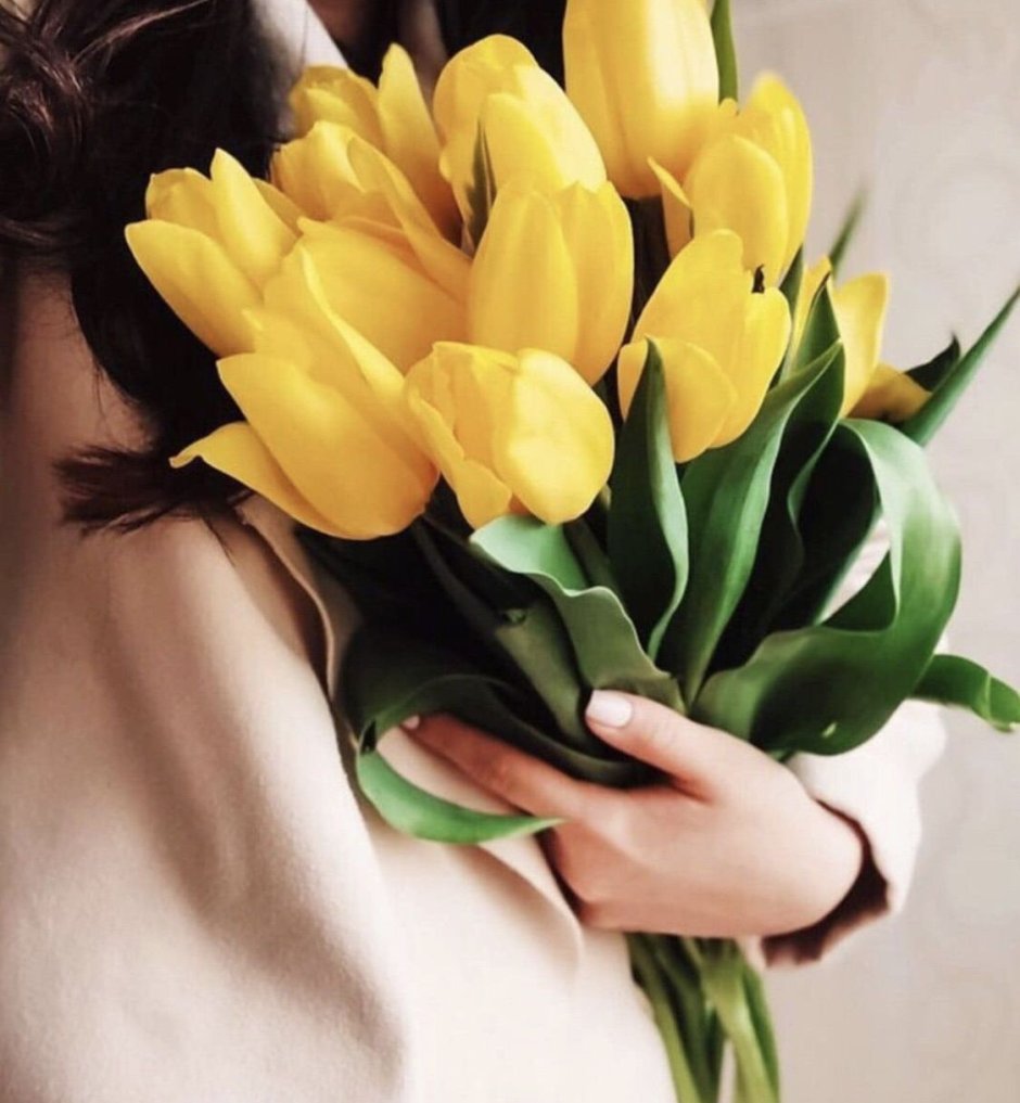 Желтые тюльпаны в руках девушки