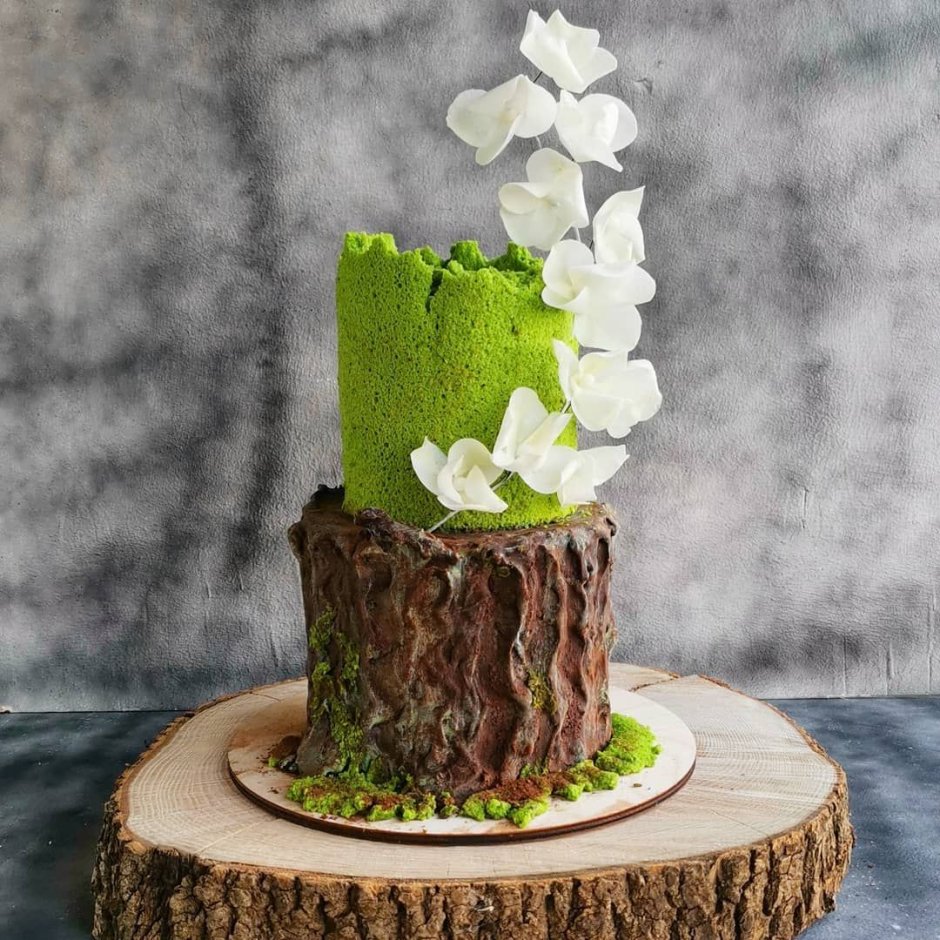Торт с декором Лесной домик